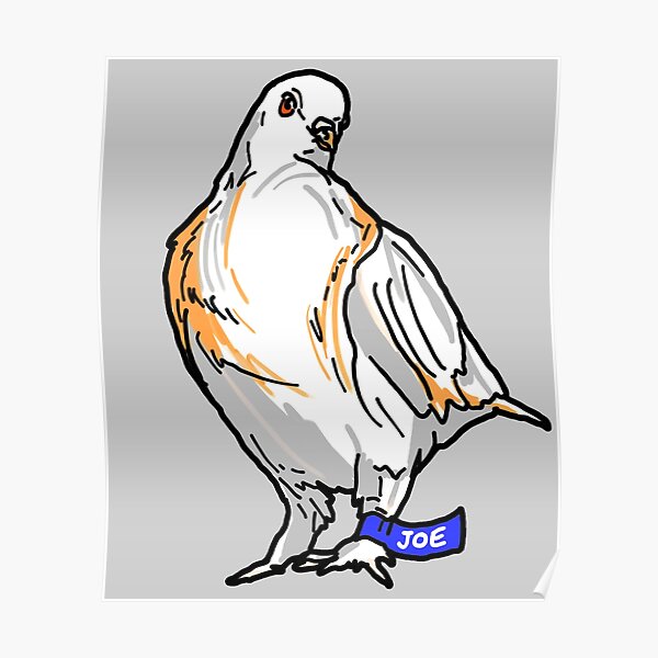 Pigeon Meme Posters Redbubble