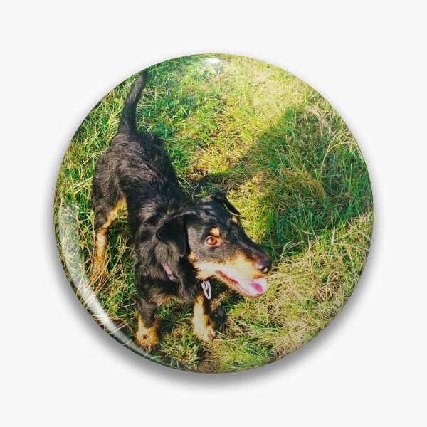 Item preview, A cheerful and smiling hunt terrier that is inviting you to play designed and sold by helenkaiy.