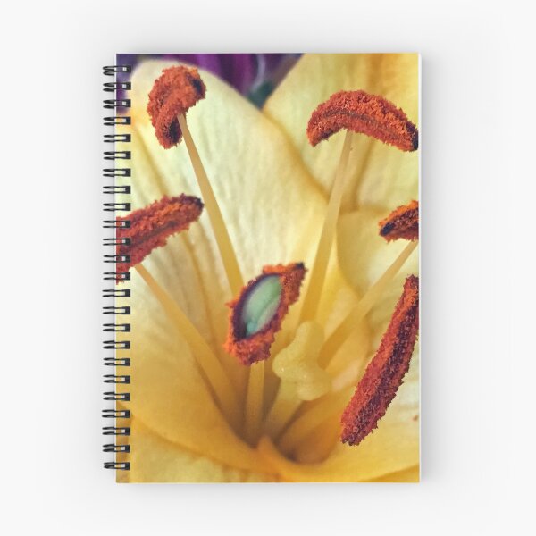 Item preview, Orange Brushes  designed and sold by Susan Werby.