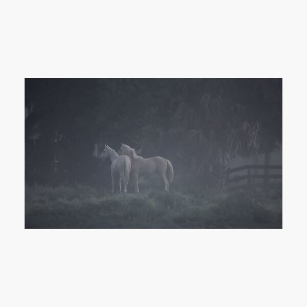 Through the Mist Photographic Print