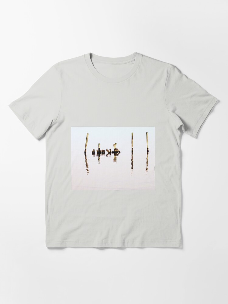 "Hidden Message" Tshirt by RVogler Redbubble