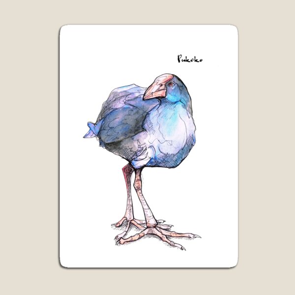 Pukeko (old version) Magnet