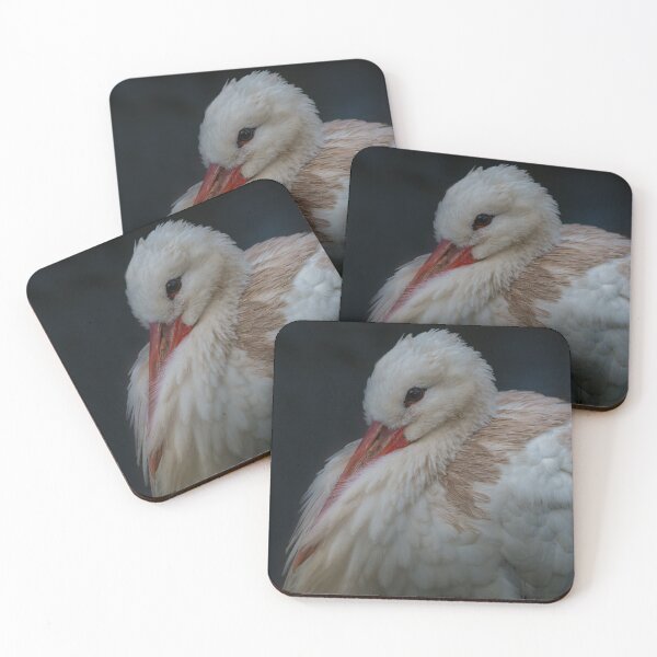 Item preview, White Stork All Puffed Up designed and sold by rawshutterbug.