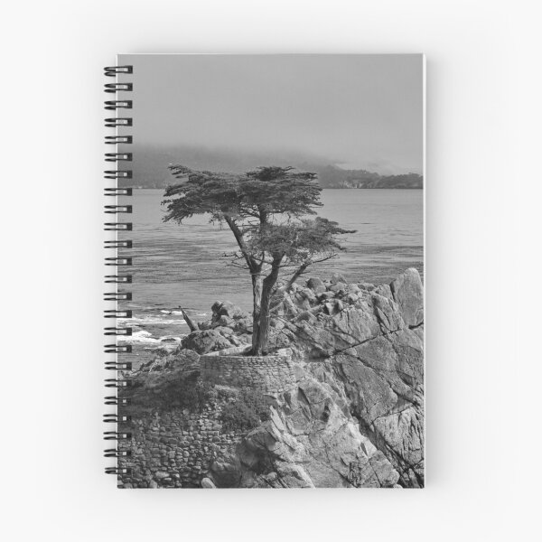 Item preview, Lone Cypress Tree #2 designed and sold by Photos by Phil.