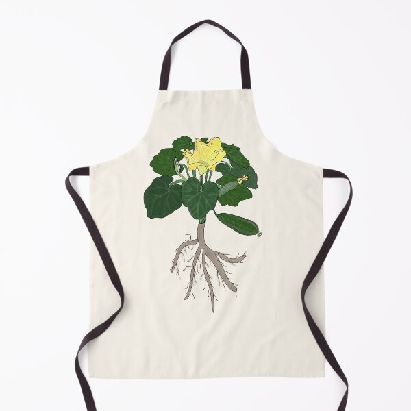 Item preview, Courgette (zucchini): root, plant, leaves, flowers, fruit designed and sold by NatureNature.