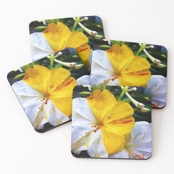 Item preview, Photography of a little white and yellow flower designed and sold by NaturaFotos.