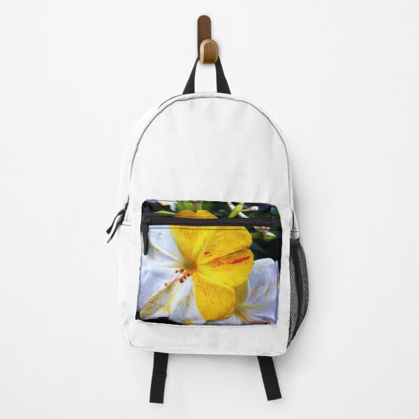 Item preview, Photography of a little white and yellow flower designed and sold by NaturaFotos.