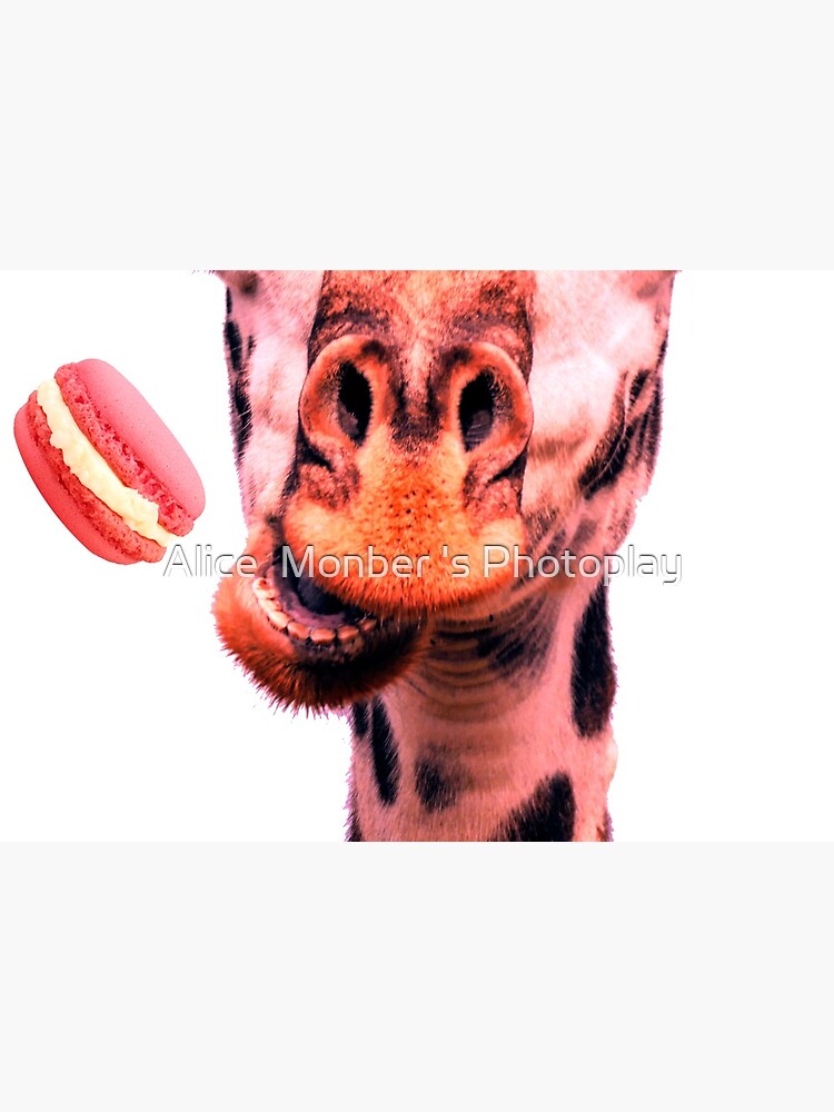 Lovely giraffe with macaron by Alice Monber by alicemonbercomp