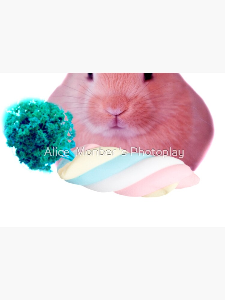 Pink Rabbit with carrot marshmellow by Alice Monber by alicemonbercomp