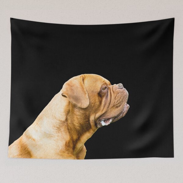 Item preview, The Dogue de Bordeaux designed and sold by Paul Thompson Photography.