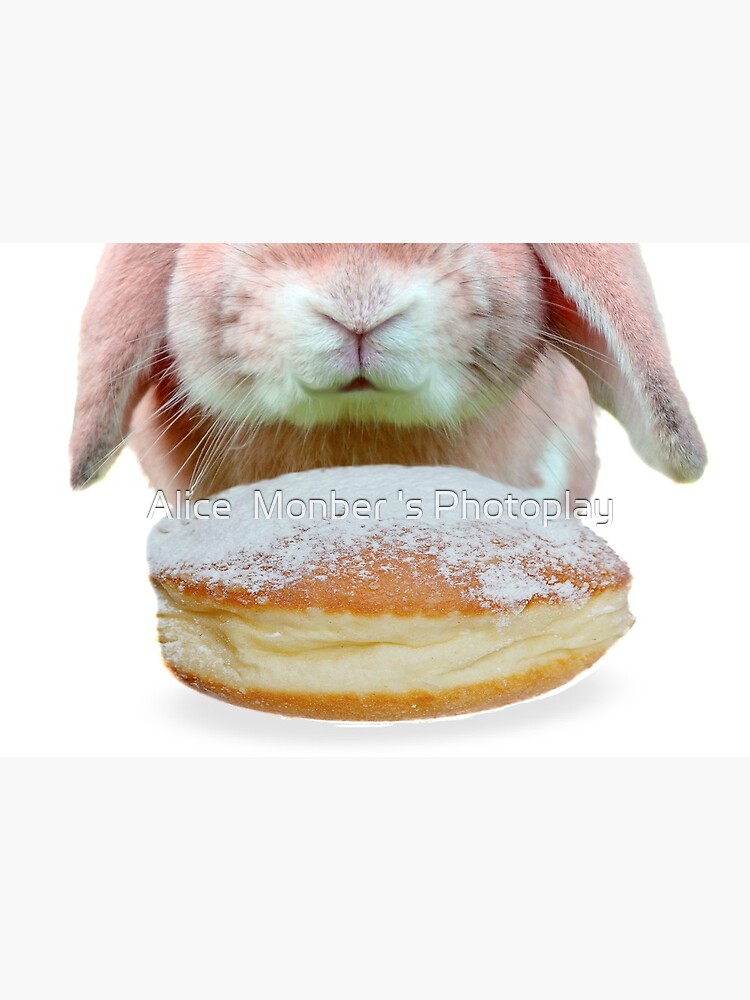 Rabbit Donut Party by Alice Monber by alicemonbercomp