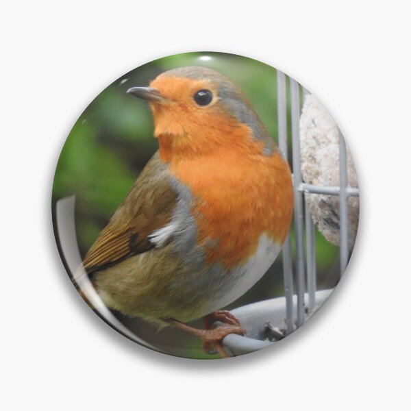 Item preview, Robin on a bird feeder designed and sold by Gaynor-dI.