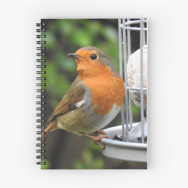 Item preview, Robin on a bird feeder designed and sold by Gaynor-dI.