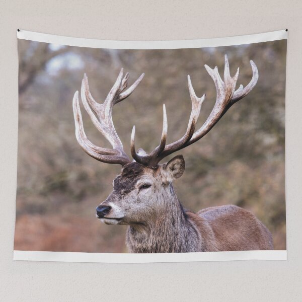 Item preview, Woburn Deer designed and sold by rexhank.