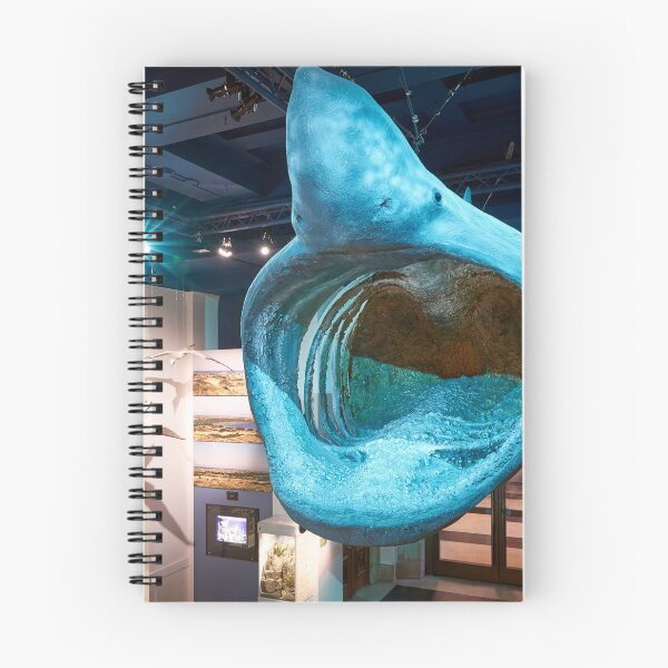 Item preview, Exhibit designed and sold by RJDowns.