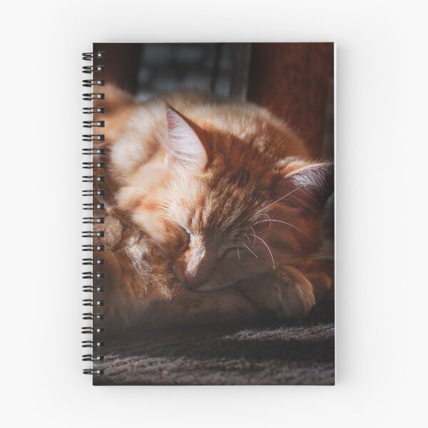 Item preview, The Cat that looked like a Little Fox designed and sold by Clare Colins.