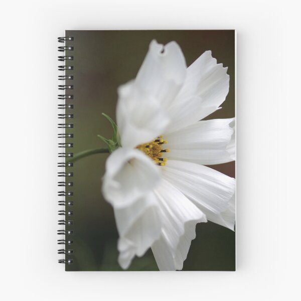 Item preview, Purity designed and sold by Clare Colins.