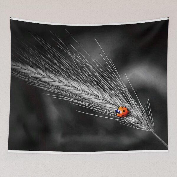 Item preview, Ladybug on ear of wheat, accented black and white designed and sold by Ayita.