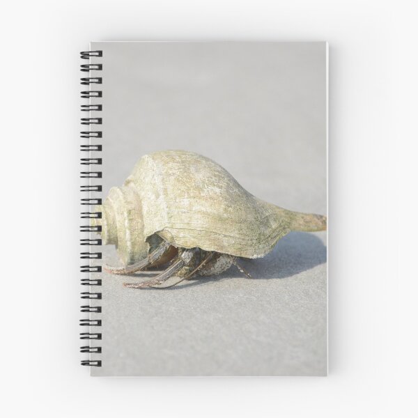 Item preview, Seashell with live critter by T Tilley designed and sold by Teresa Tilley.