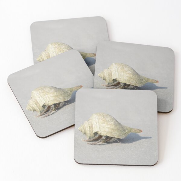 Item preview, Seashell with live critter by T Tilley designed and sold by Teresa Tilley.