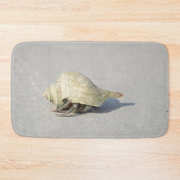 Item preview, Seashell with live critter by T Tilley designed and sold by Teresa Tilley.