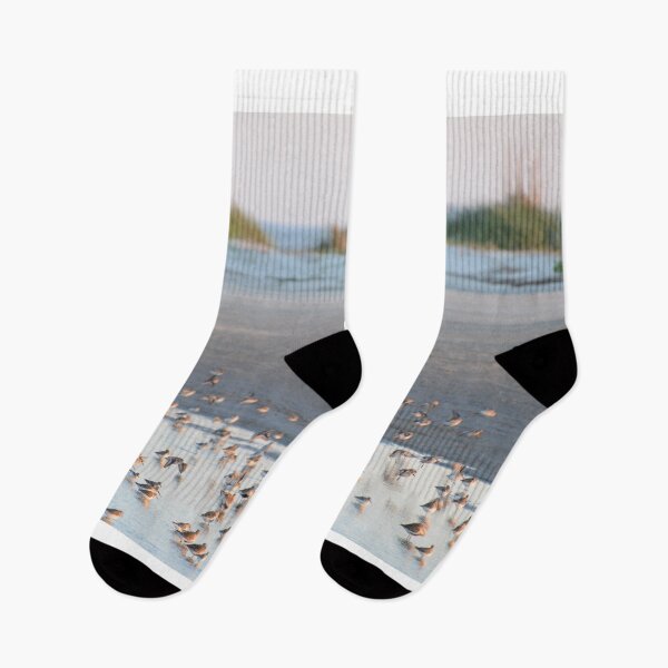 Item preview, Low Country and Birds designed and sold by Teresa Tilley.
