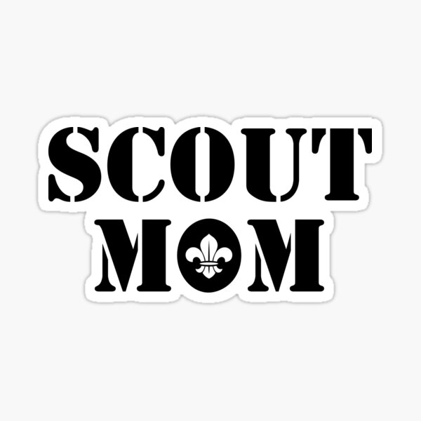 Boy Scout Early Order of the Arrow Decal Sticker Cat No 5064 Chicago Decal Co 