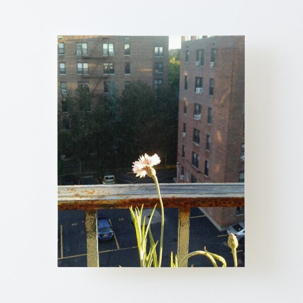Flower Canvas Mounted Print