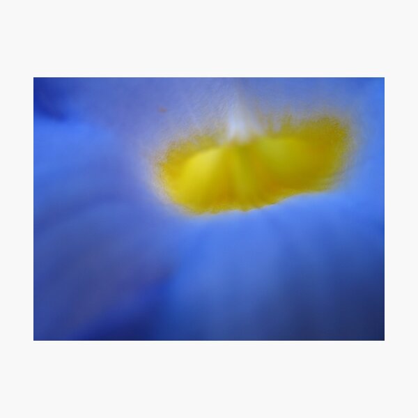 Hyperspace Photographic Print