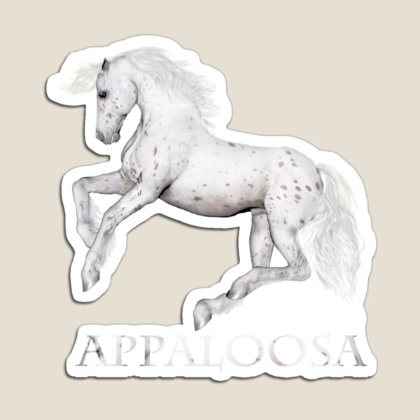 The Appaloosa Magnet