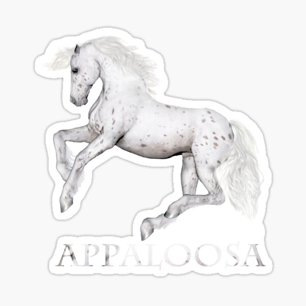 The Appaloosa Sticker