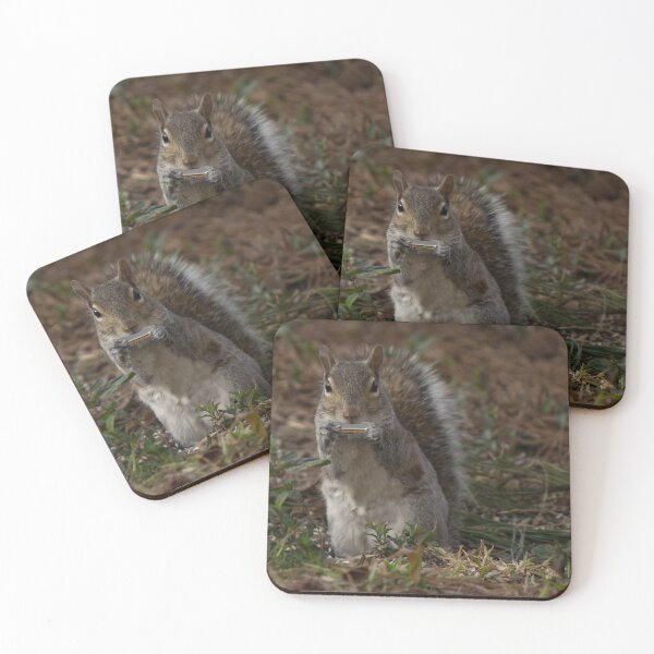 Item preview, Harmonica, Dylan the Squirrel designed and sold by Sandra Clark.