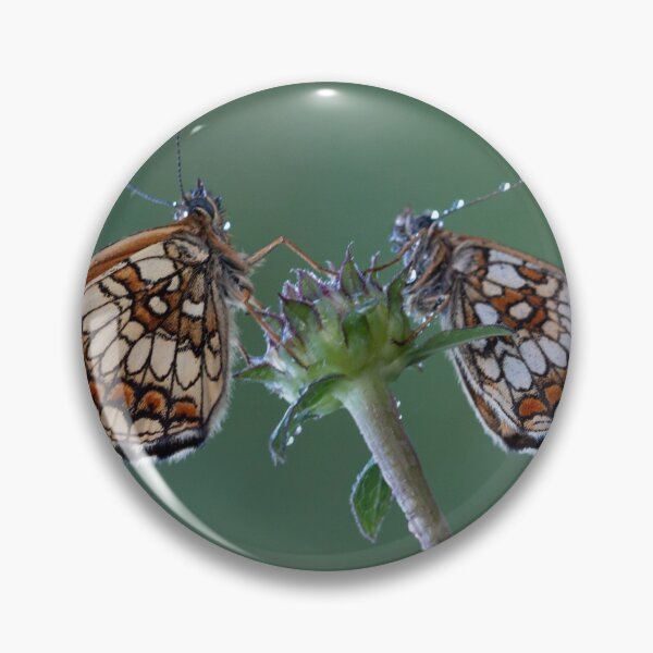 Item preview, Spotted fritillary butterfly designed and sold by pietrofoto.