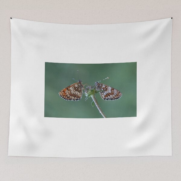 Item preview, Spotted fritillary butterfly designed and sold by pietrofoto.