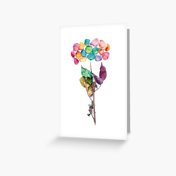 Dried Flowers. Boho style. Dried plants. Greeting Card for Sale by  PandaAvenue