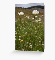 Roadside Flowers Greeting Card