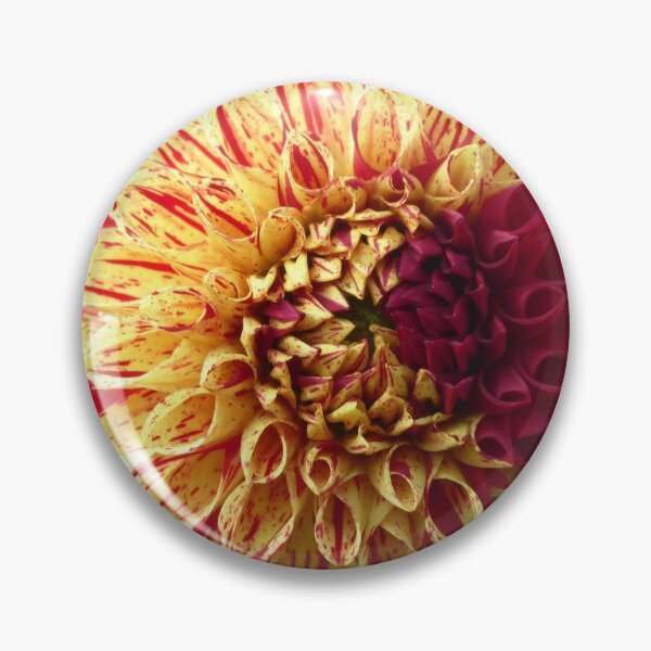 Item preview, a whim of nature - two-tone dahlia designed and sold by Kriti68.