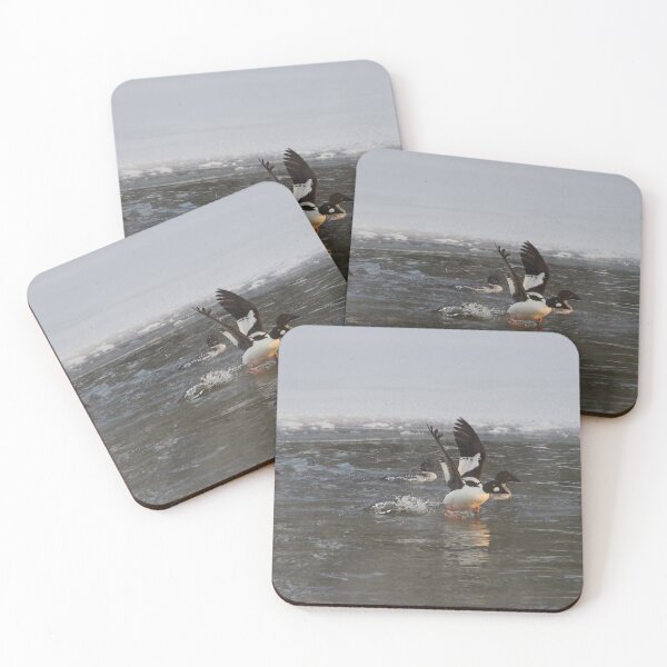 Item preview, Takeoff. Common goldeneye designed and sold by Jouko Lehto Photography.