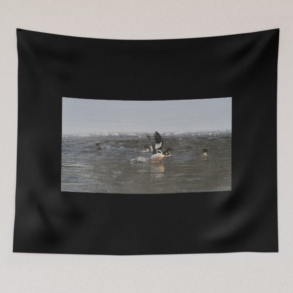 Item preview, Takeoff. Common goldeneye designed and sold by Jouko Lehto Photography.