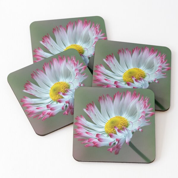 Item preview, Bellis Daisy. designed and sold by John Ray.