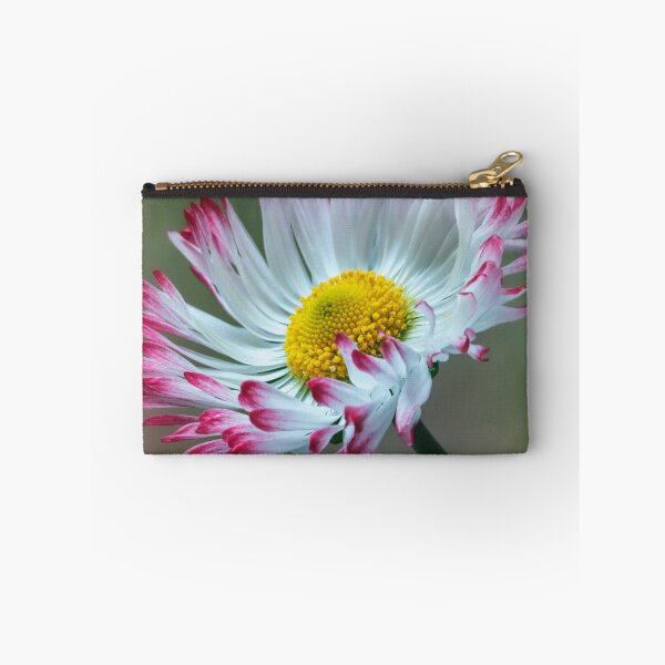 Item preview, Bellis Daisy. designed and sold by John Ray.