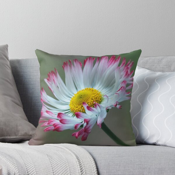 Item preview, Bellis Daisy. designed and sold by John Ray.