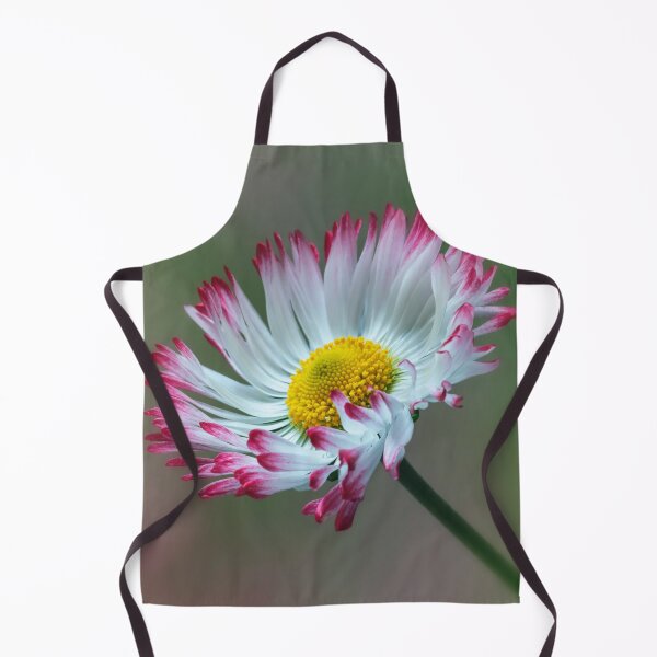 Item preview, Bellis Daisy. designed and sold by John Ray.