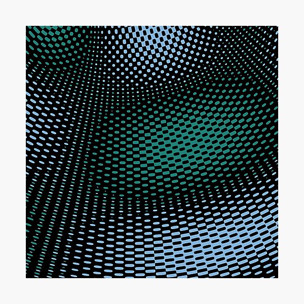 Mesh Photographic Print