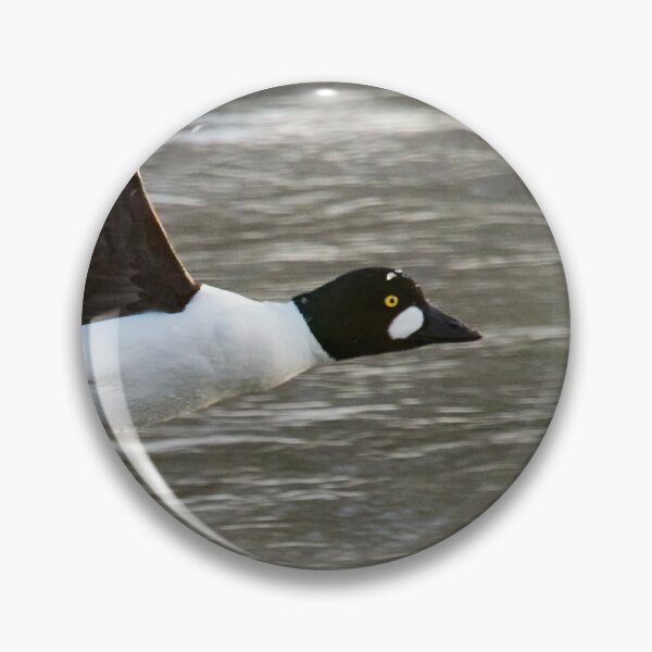 Item preview, Lets go my darling. Common goldeneye designed and sold by Jouko Lehto Photography.