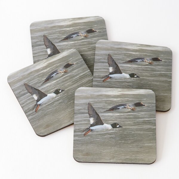 Item preview, Lets go my darling. Common goldeneye designed and sold by Jouko Lehto Photography.
