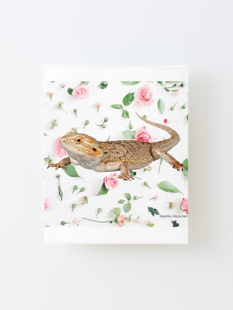 Alternate view of Bearded Dragon On A Carnation Background Mounted Print