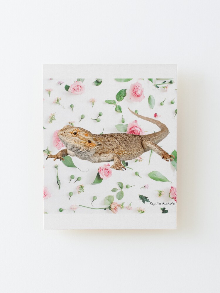 Alternate view of Bearded Dragon On A Carnation Background Mounted Print