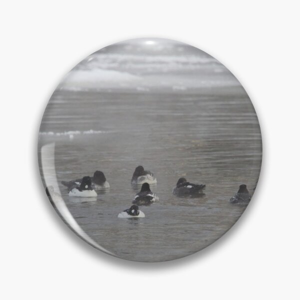 Item preview, We the family and all. Common goldeneye designed and sold by Jouko Lehto Photography.