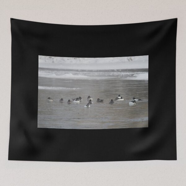 Item preview, We the family and all. Common goldeneye designed and sold by Jouko Lehto Photography.